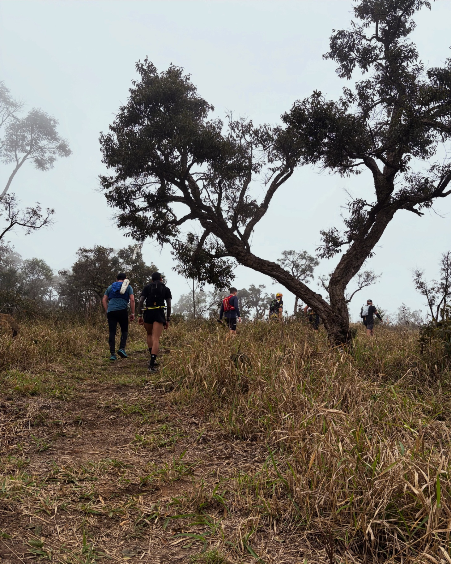 Grupo em trilha na neblina